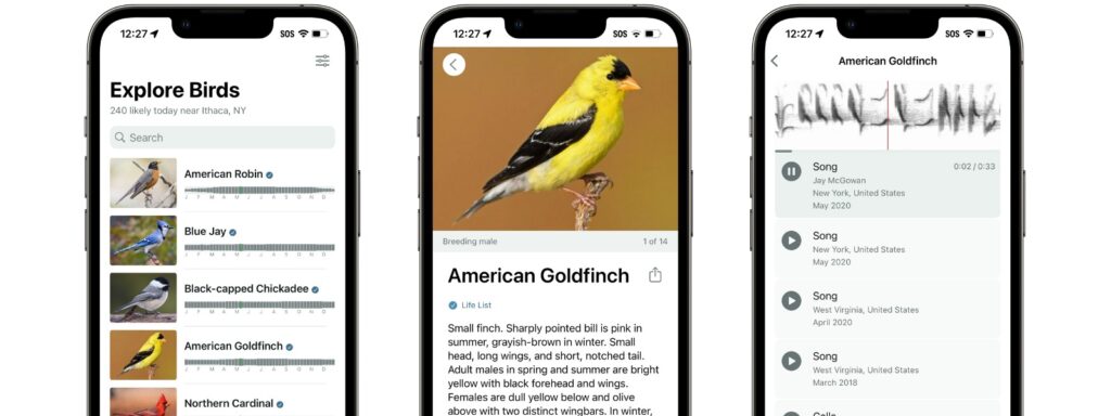 Screenshot Merlin Bird ID