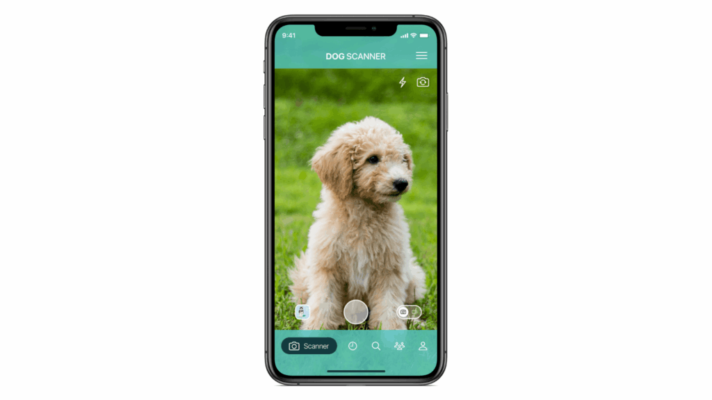 Screenshot Dog Scanner